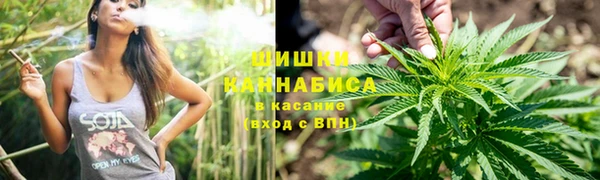 мдпв Надым