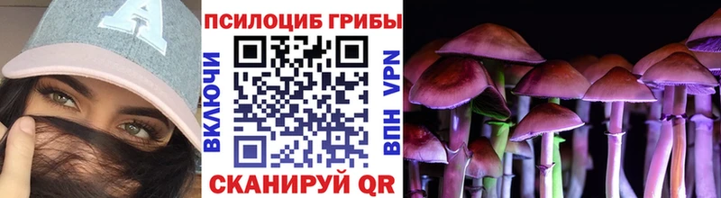 Псилоцибиновые грибы мицелий как найти наркотики Пущино